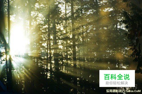 完美运用自然光动人的佳作