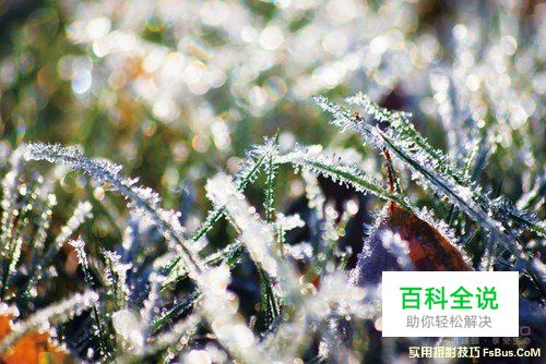 完美运用自然光动人的佳作