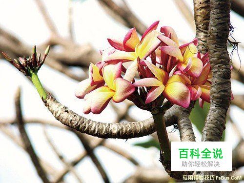 完美运用自然光动人的佳作