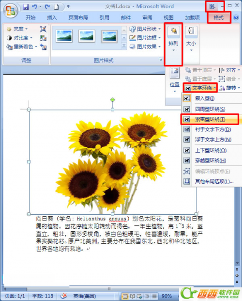 Word2007中如何让文字紧挨图片