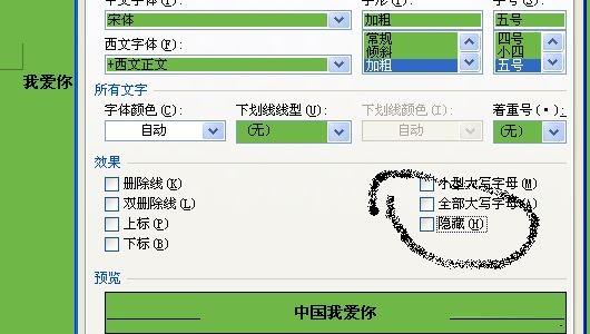 word隐藏不想被人看见的字符的方法