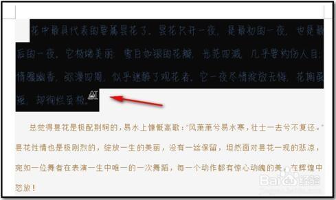 word复制段落格式以及文字格式的方法