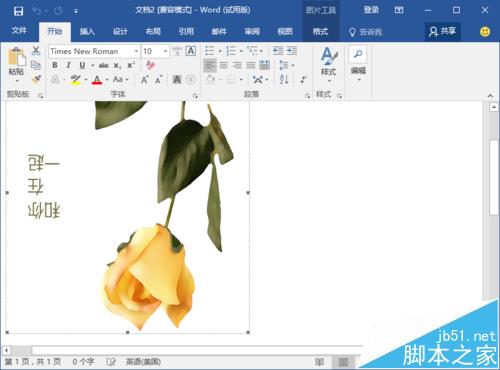 Word2016怎么画精美卡片