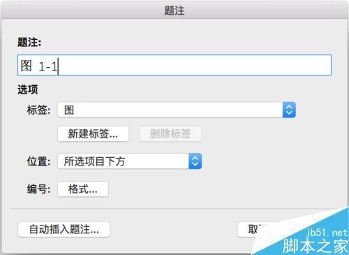 Word如何插入图片、调整大小和排版?