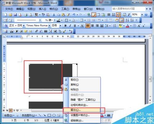 word2003怎么对图片进行自动编号呢?
