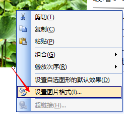 word怎么缩图打印