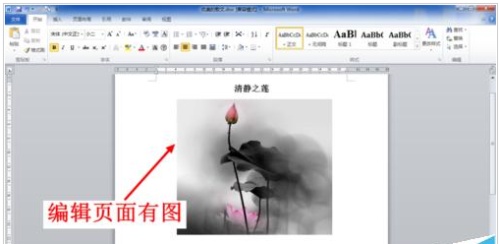 word2007打印不出图片