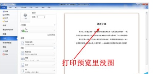 word2007打印不出图片