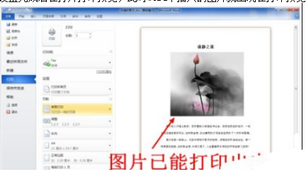 word2007打印不出图片