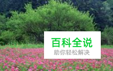 Word文档第一行空格如何去掉