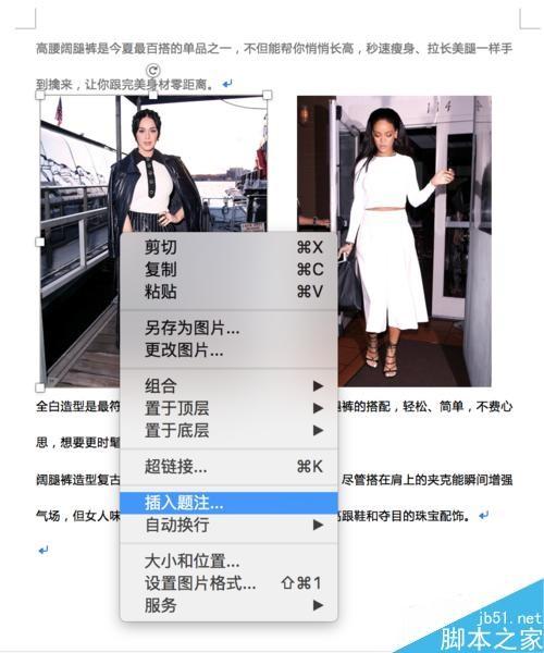Word如何插入图片、调整大小和排版?