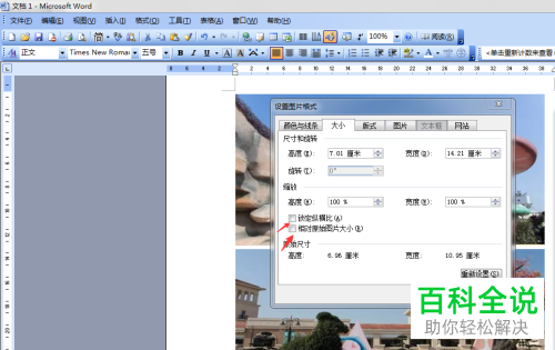 Word软件中怎么设置图片大小全部相同