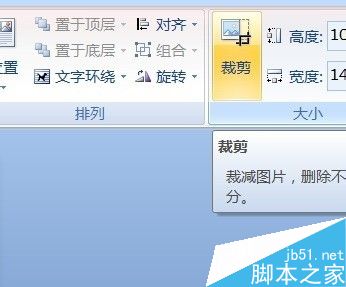 Word如何裁剪照片?word裁剪图片的几种方法介绍