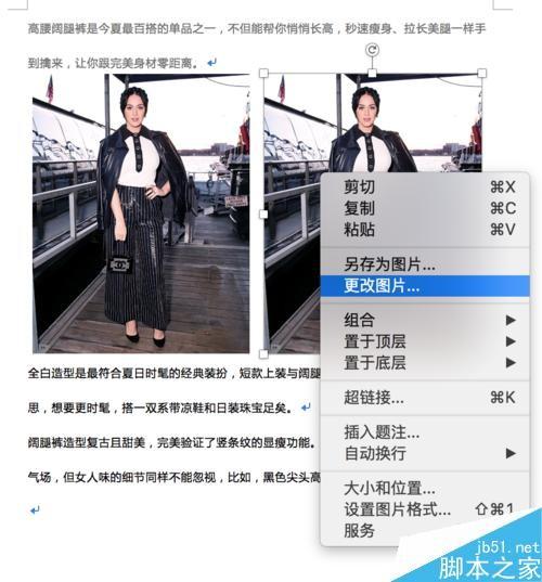 Word如何插入图片、调整大小和排版?