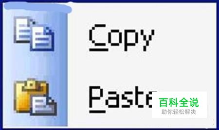 Word表格的复制与粘贴技巧！