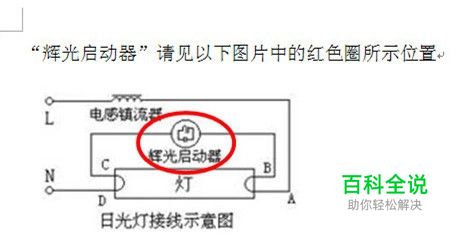 word怎样在图片中画圈进行标识
