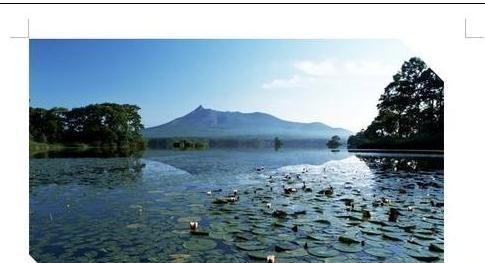 word2013中如何裁剪图片