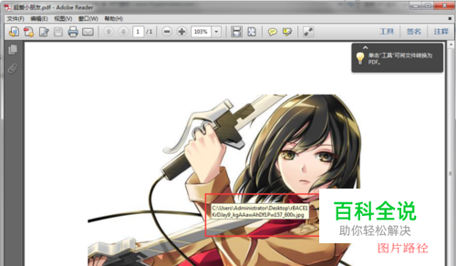 word导出pdf后，如何设置让pdf不显示图片路径