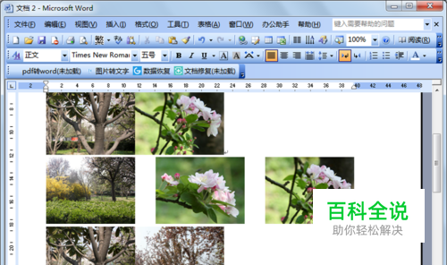 Word2003怎么一次性插入多张图片