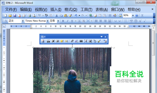 Word2003工具栏不见啦，如何恢复？