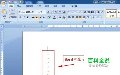 word2007中如何去掉或显示段落标记