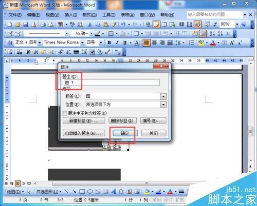 word2003怎么对图片进行自动编号呢?