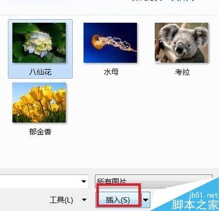 Word如何裁剪照片?word裁剪图片的几种方法介绍