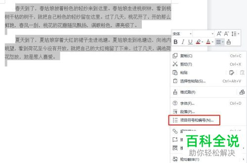 Word文档如何设置自定义项目符号