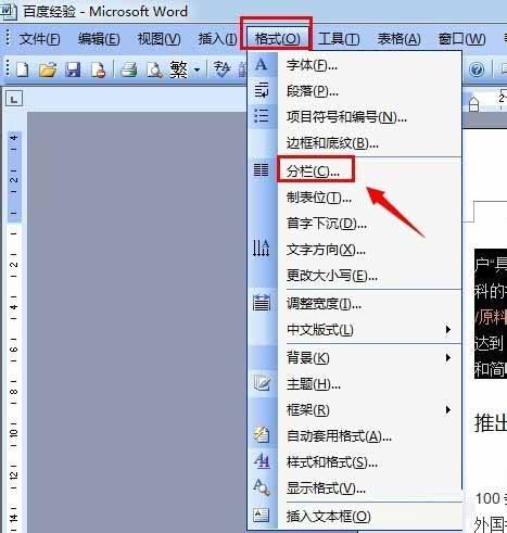 word2003怎么对文档中的文字进行分栏?