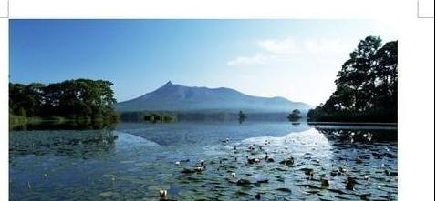 word2013中如何裁剪图片