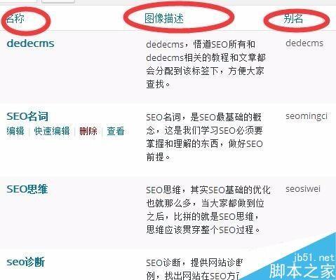 wordpress标签如何使用呢?wordpress标签使用方法