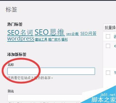 wordpress标签如何使用呢?wordpress标签使用方法