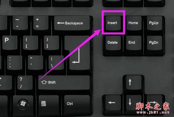 word打字后面的字消失如何解决 word打字后面的字消失解决方法攻略大全