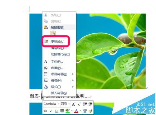 Word图表怎么设置自动生成目录?