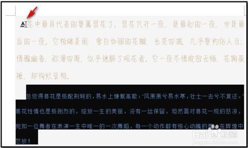 word复制段落格式以及文字格式的方法