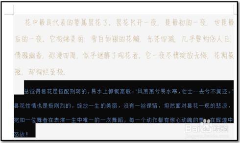 word复制段落格式以及文字格式的方法