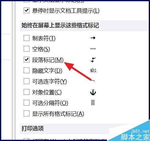 word2010怎么隐藏回车符号(段落标记)?