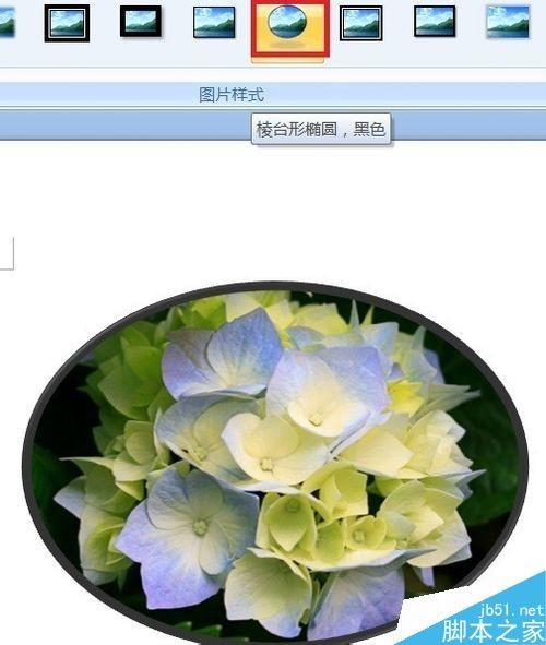 Word如何裁剪照片?word裁剪图片的几种方法介绍