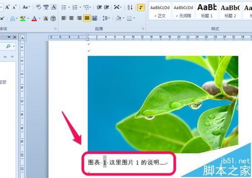 Word图表怎么设置自动生成目录?