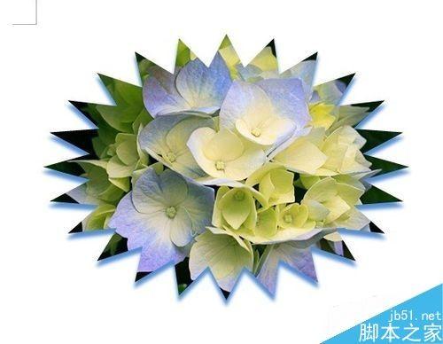 Word如何裁剪照片?word裁剪图片的几种方法介绍