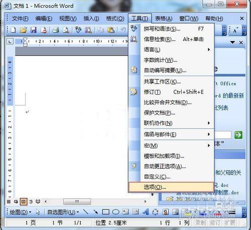 Word2003打开文档CPU占用资源大的问题的解决办法