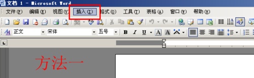 word如何在插入的图形中书写文字?