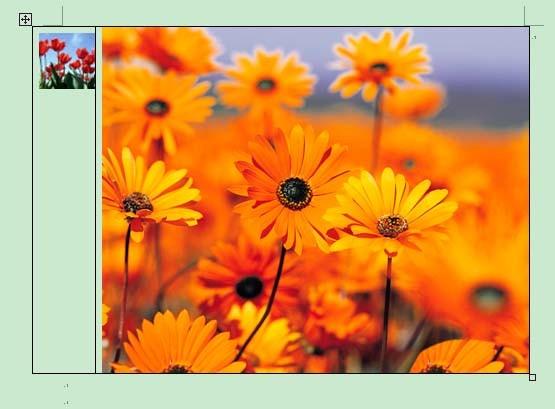 word中怎么让多张图片并排显示?