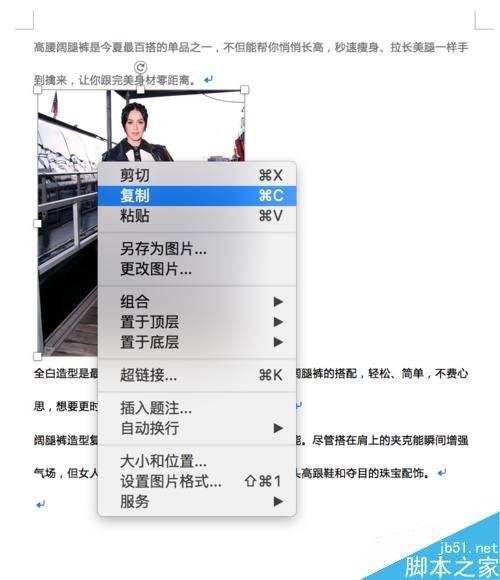 Word如何插入图片、调整大小和排版?