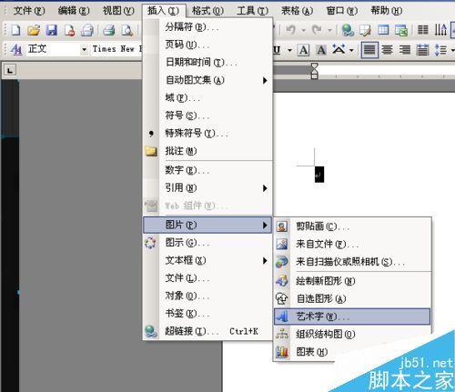 word如何在插入的图形中书写文字?