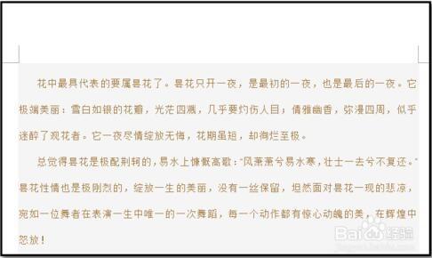 word复制段落格式以及文字格式的方法