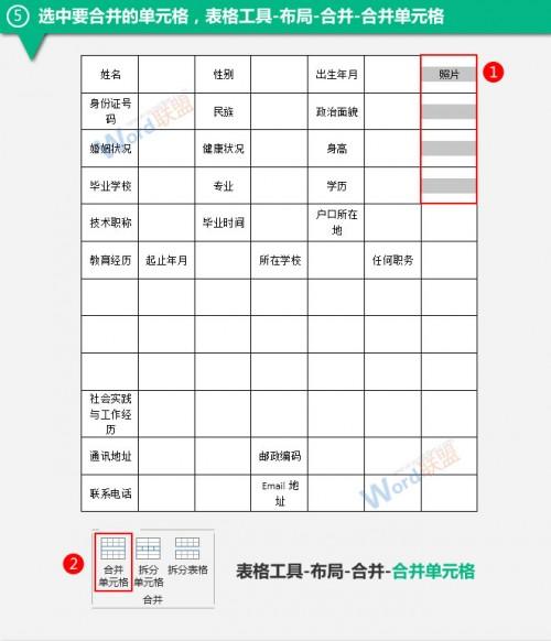 WORD如何制作简历?
