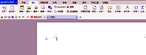 wps怎么截图? wps截图的方法