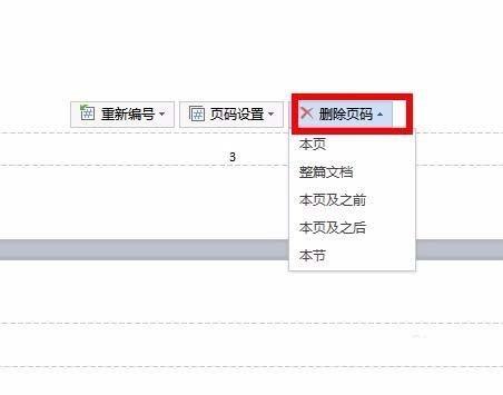 WPS论文怎么添加两种页码? 论文两种页码设置方法