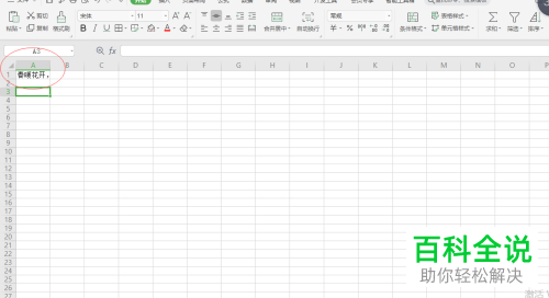 WPS如何隐藏Excel单元格溢出内容